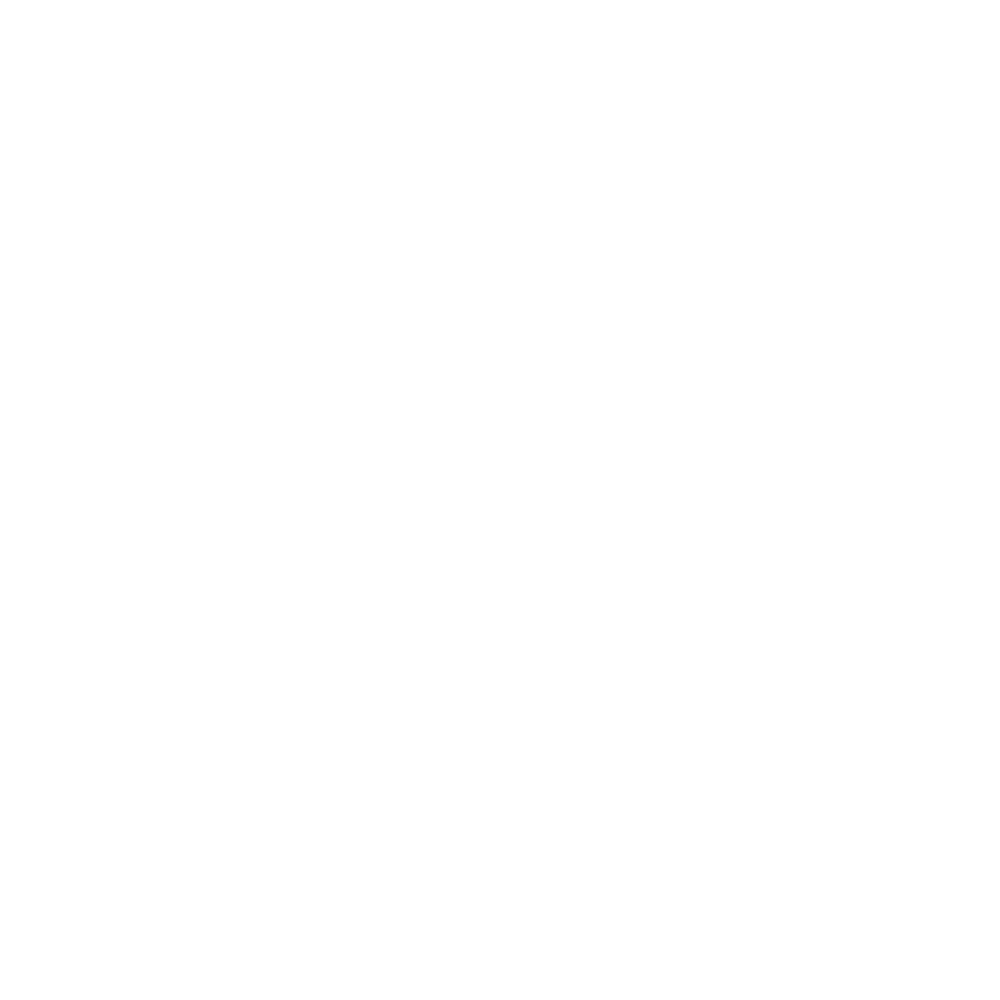 Logo LN